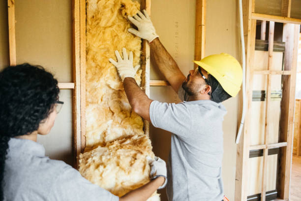 Best Insulation for New Construction  in Kings Grant, NC